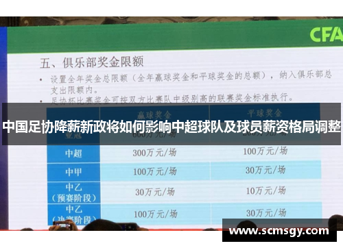 中国足协降薪新政将如何影响中超球队及球员薪资格局调整