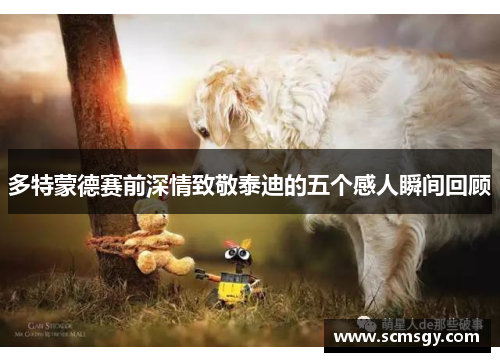 多特蒙德赛前深情致敬泰迪的五个感人瞬间回顾