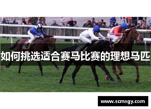 如何挑选适合赛马比赛的理想马匹